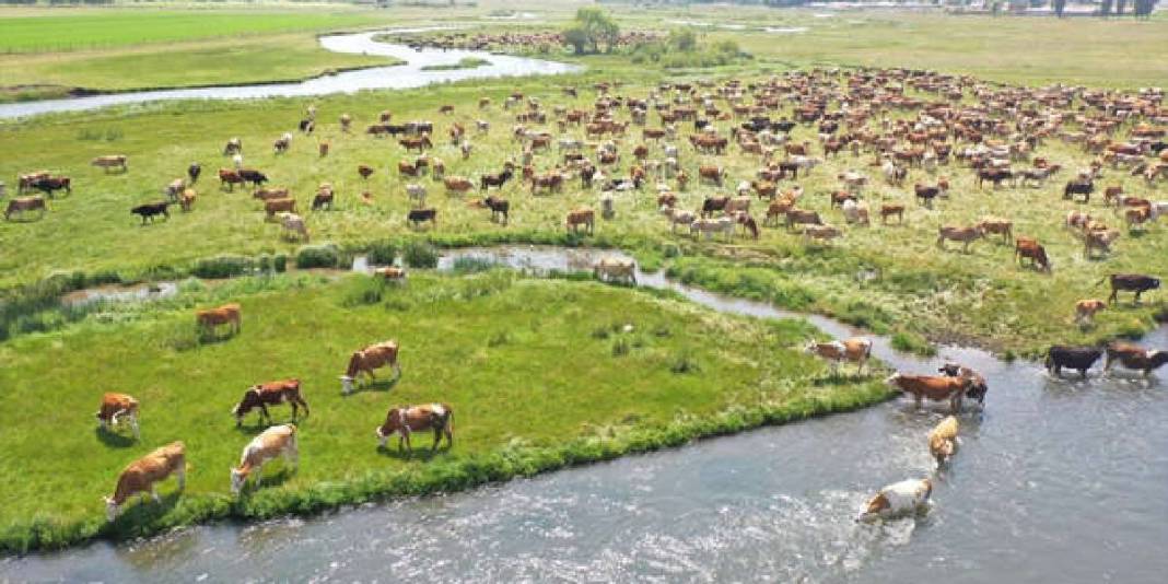 Ovada menderesler oluşturarak akıyor! Kars’ta tarım ve hayvancılığın en büyük destekçisi 3